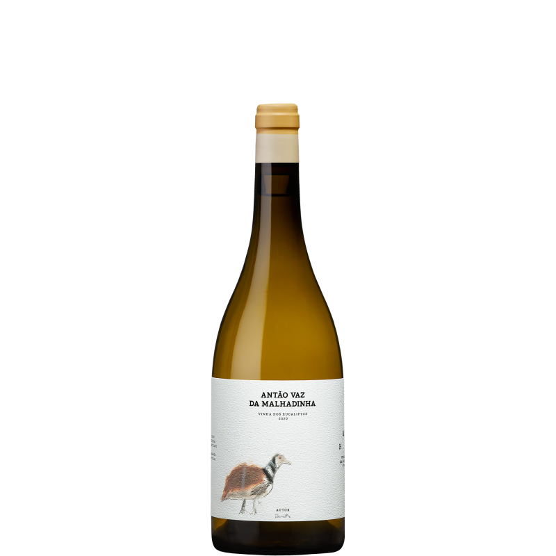 Antão Vaz da Malhadinha - Vinha dos Eucaliptos 2020 Bílé víno
