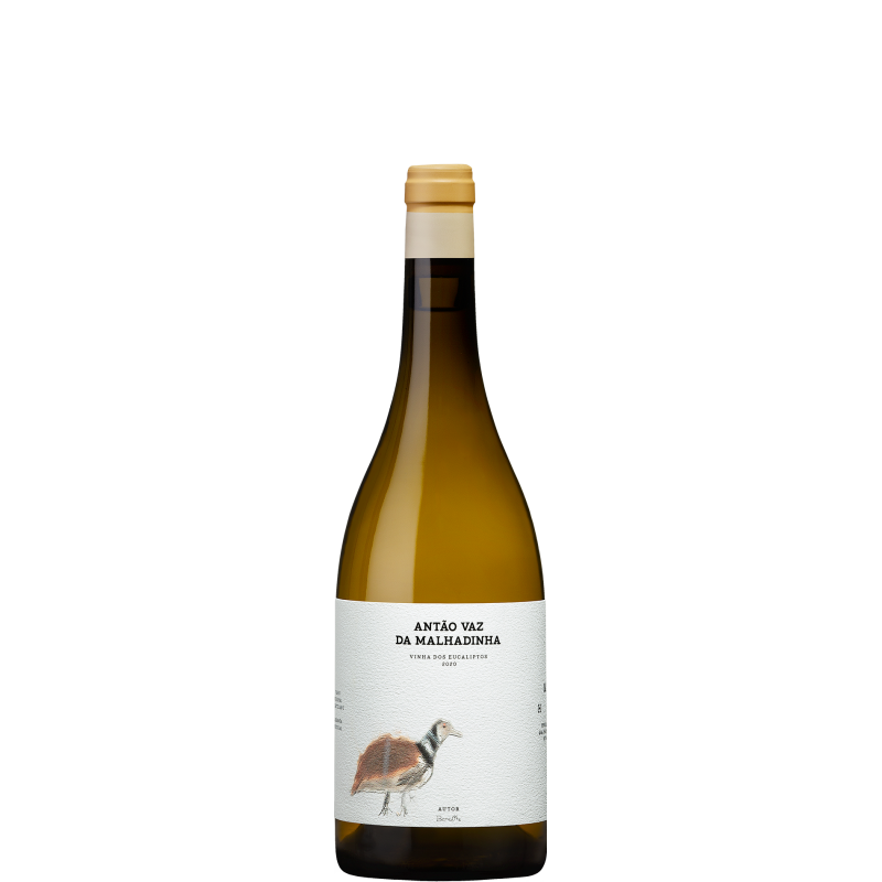 Antão Vaz da Malhadinha - Vinha dos Eucaliptos 2020 White Wine