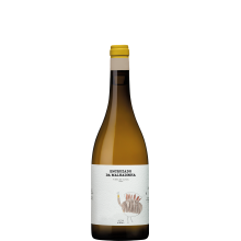 Encruzado da Malhadinha - Vinha da Olival 2020 Bílé víno
