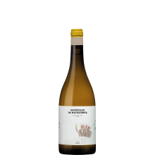 Encruzado da Malhadinha - Vinha da Olival 2020 White Wine