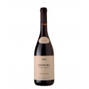 Fitapreta Chão dos Eremitas Castelão 2019 Red Wine