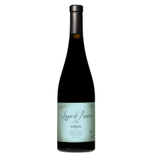 Bairrada Viner|Winefromportugal