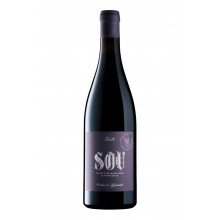 Sou 2020 rødvin|Winefromportugal