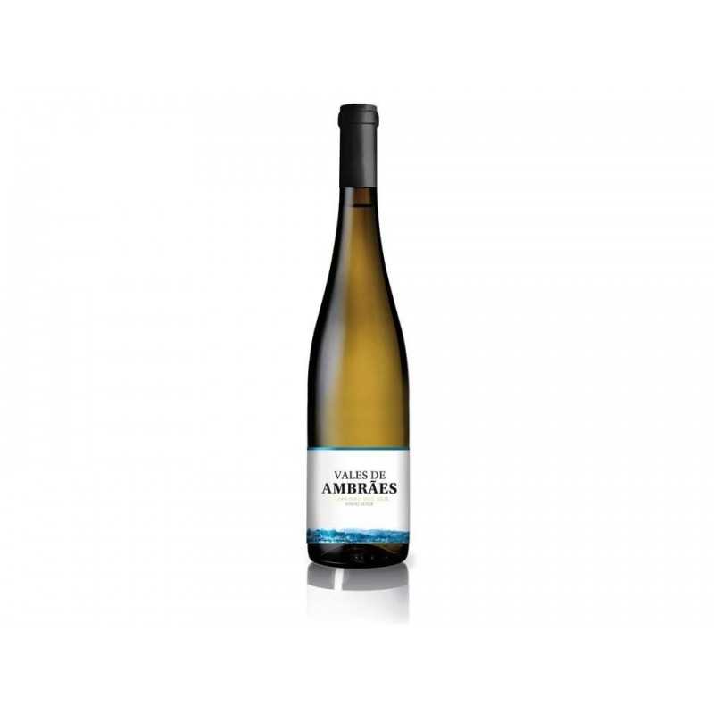 Vale de Ambrães Alvarinho 2015 White Wine Vale de Ambrães Alvarinho 2015 White Wine