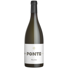 Ponte Mouchão 2019 hvidvin|Winefromportugal