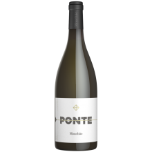 Ponte Mouchão 2019 White Wine
