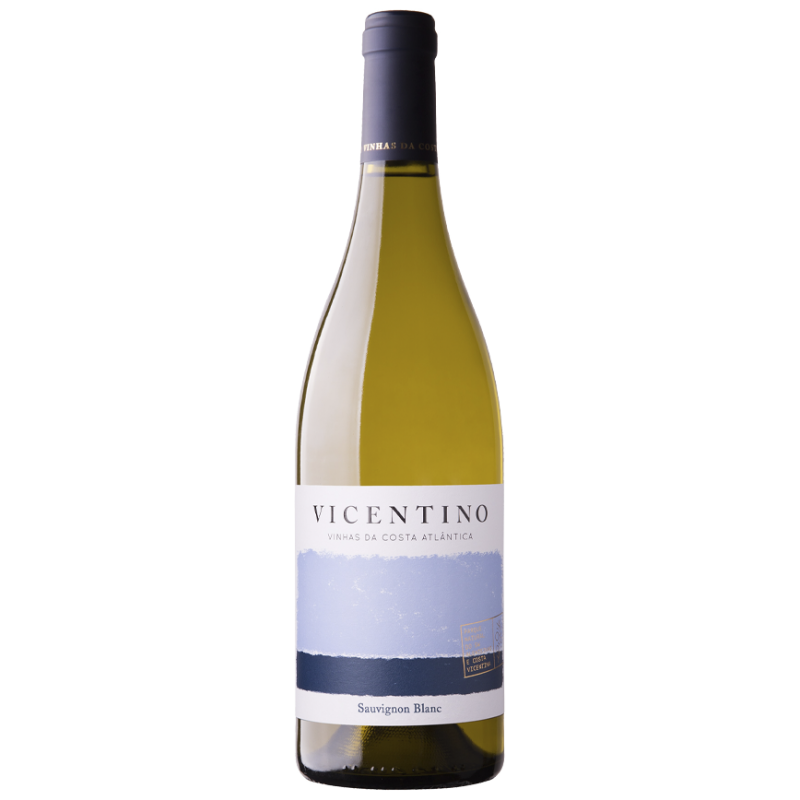 Vicentino Sauvignon Blanc 2019 hvidvin|Winefromportugal