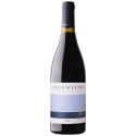 Vicentino Syrah 2019 rødvin|Winefromportugal