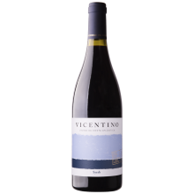 Vicentino Syrah 2019 rødvin|Winefromportugal