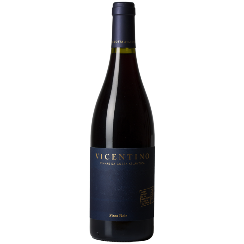 Vicentino Pinot Noir 2019 Rødvin|Winefromportugal