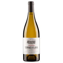 Pico Wines Terras de Lava 2019 White Wine