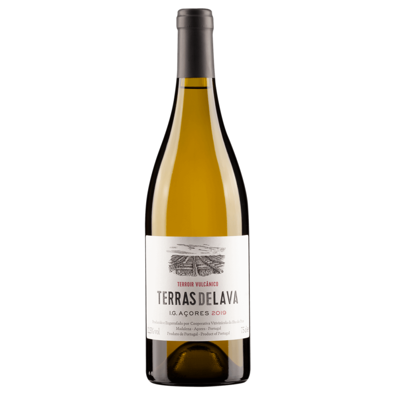 Pico Wines Terras de Lava 2019 hvidvin|Winefromportugal