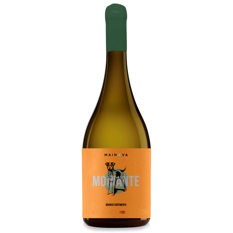 Moinante Curtimenta 2020 White Wine Moinante Curtimenta 2020 White Wine