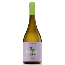 Moinante Encruzado 2020 White Wine