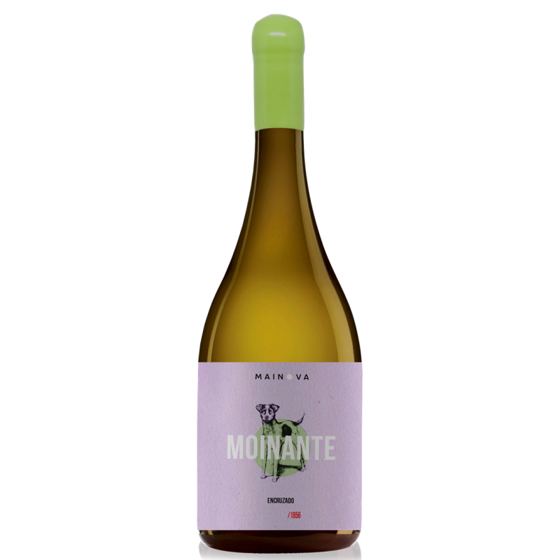 Moinante Encruzado 2020 White Wine Moinante Encruzado 2020 White Wine