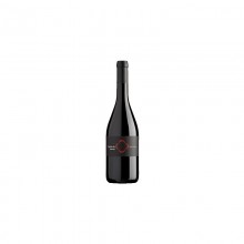 Quinta de Lemos Jaen 2010 Red Wine