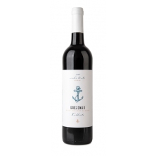 Brejinho Colheita 2018 Red Wine