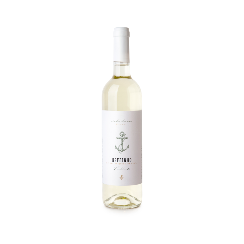 Brejinho Colheita 2020 Bílé víno