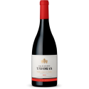 Palácio dos Távoras Tinta Gorda 2020 rødvin|Winefromportugal