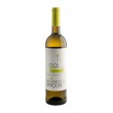 Branco dos Poços Colheita 2019 White Wine