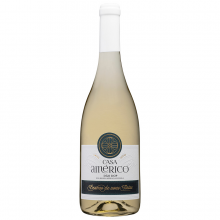 Casa Américo Branco de Uvas Tintas 2020 Bílé víno