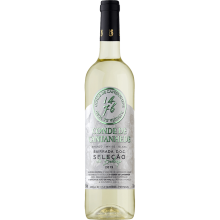 Conde de Cantanhede Seleção do Enólogo 2019 White Wine
