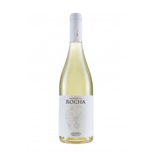 Herdade da Rocha Amphora 2019 hvidvin|Winefromportugal