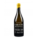 Caracol dos Profetas 2021 White Wine
