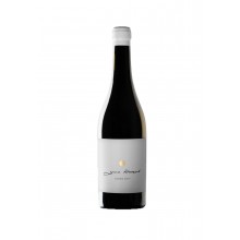 Douro -vine|Winefromportugal