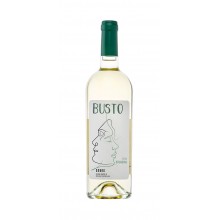 Busto Colheita 2020 hvidvin|Winefromportugal