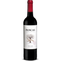 Pancas 2019 rødvin|Winefromportugal