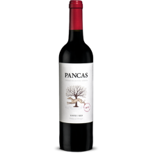 Červené víno Pancas 2019