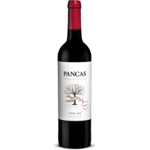 Pancas 2019 rødvin|Winefromportugal