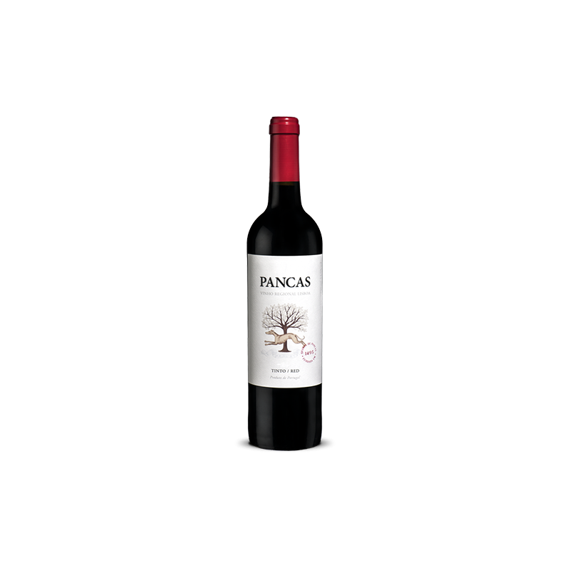 Červené víno Pancas 2019