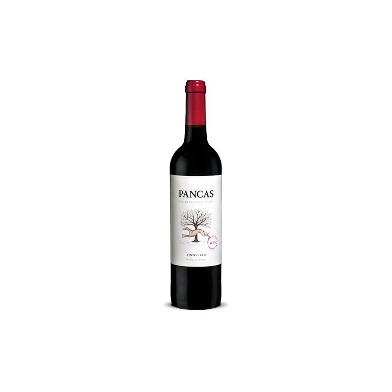 Pancas 2019 rødvin|Winefromportugal