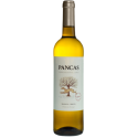 Pancas 2020 Bílé víno