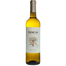 Pancas 2020 White Wine