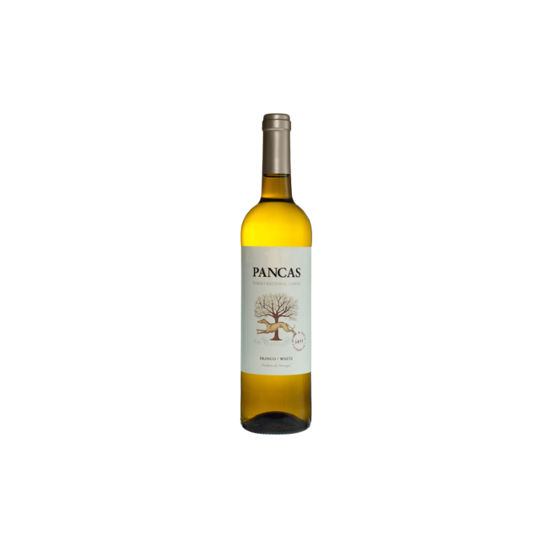 Pancas 2020 Bílé víno