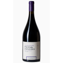 Paço dos Infantes Touriga Nacional 2020 rødvin|Winefromportugal