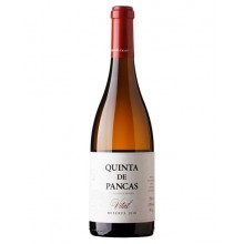 Quinta de Pancas Reserva Vital 2019 White Wine