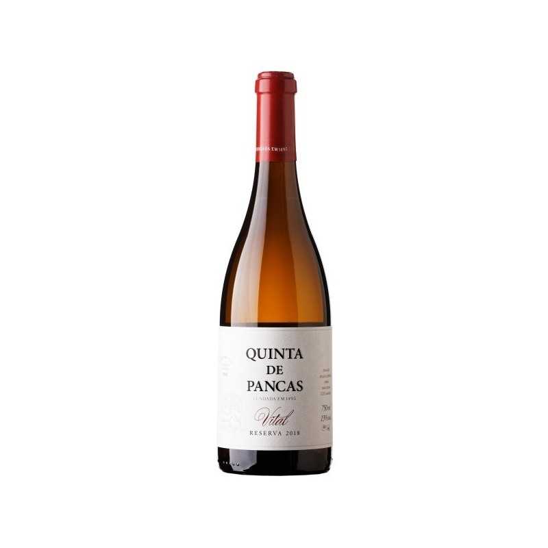 Quinta de Pancas Reserva Vital 2019 hvidvin|Winefromportugal