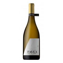 Falua - Sociedade de Vinho S.A.|Winefromportugal