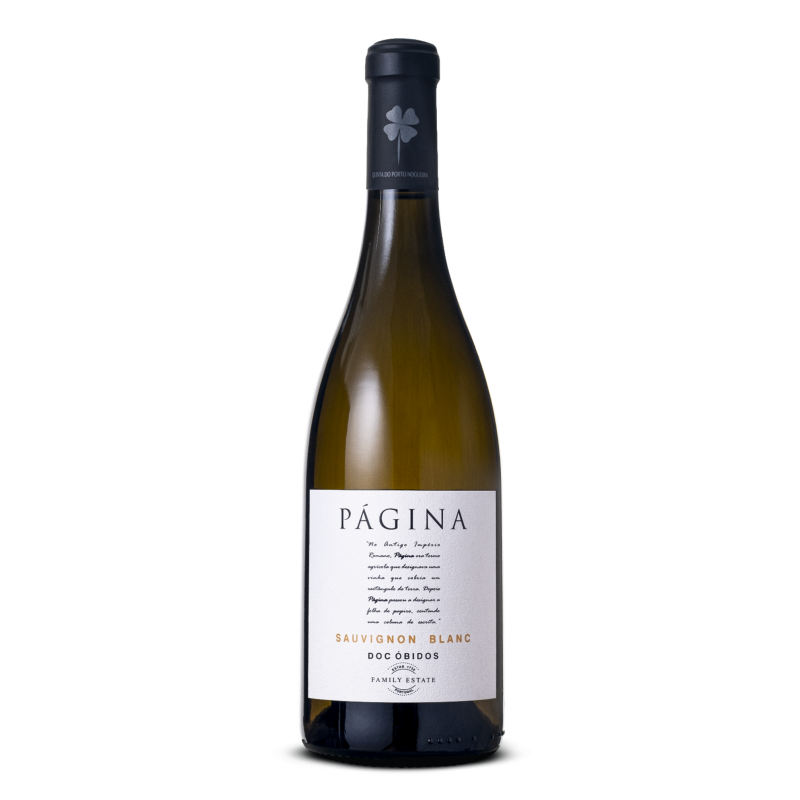 Pagina Sauvignon Blanc 2020 hvidvin|Winefromportugal