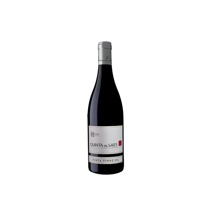 Quinta de Saes Tinta Pinheira 2016 rode wijn Quinta de Saes Tinta Pinheira 2016 rode wijn