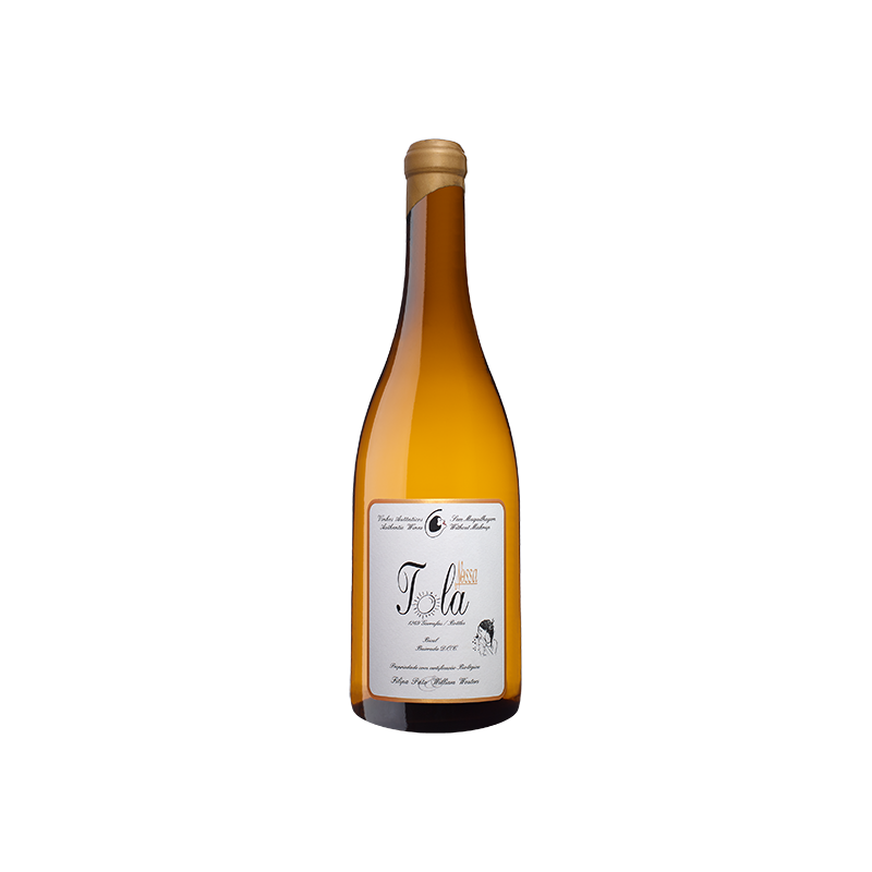 Filipa Pato Nossa Tola 2019 Witte Wijn|Winefromportugal