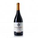 Caladessa Syrah 2020 Red Wine|Winefromportugal