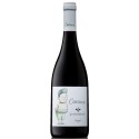 Pormenor Červené víno Canuco 2019|Winefromportugal