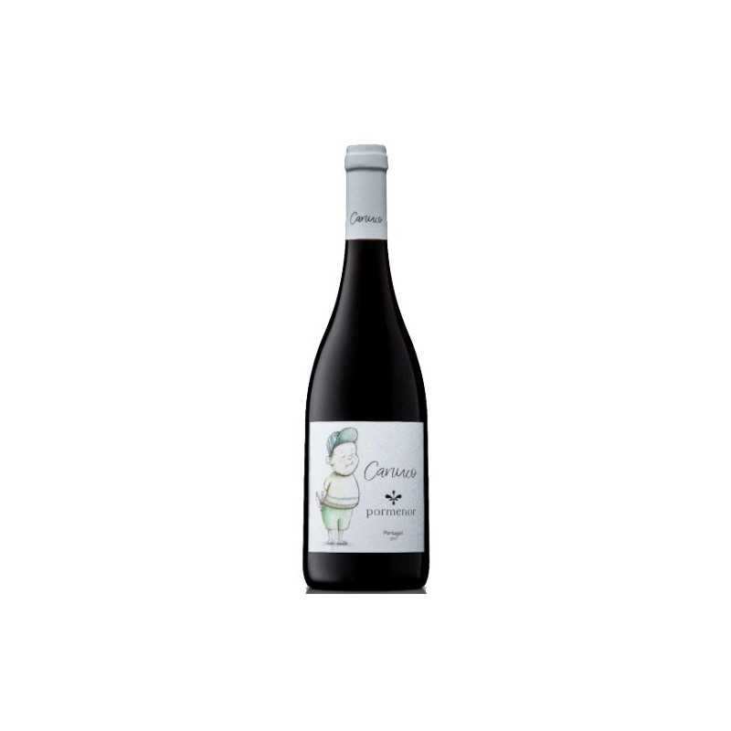 Pormenor Canuco 2019 Red Wine,winefromportugal.com