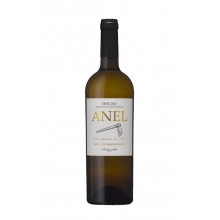 Anel Moscatel Galego 2021 hvidvin|Winefromportugal