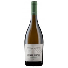 Caminhos Cruzados 2020 White Wine|Winefromportugal